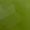 GREEN Swatch