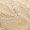 BEIGE Swatch