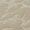 TAUPE Swatch