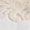 BEIGE Swatch