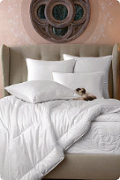 Palace Basics Viloft Comforter