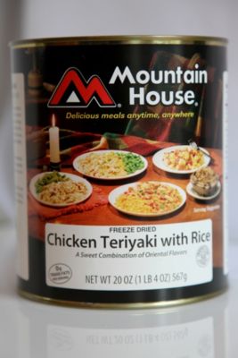 Chicken Teriyaki w/ rice