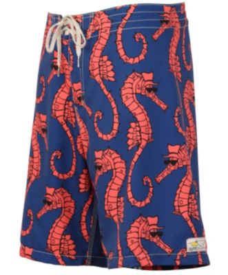 Boys' Sea Stallion Boardshort - Blue Patterned