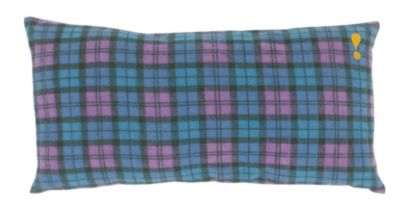 Camp Pillow