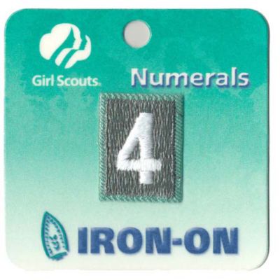 Junior Girl Scout Troop Number #0
