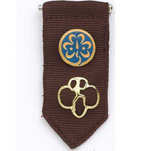 Girl Scout Brownie Insignia Tab - Brown