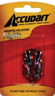 Hologram Flights