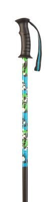 Decoy Ski Poles - Black