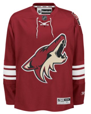Youth Coyotes Replica Jersey