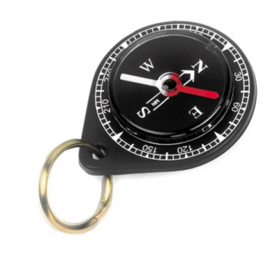 Companion Compass