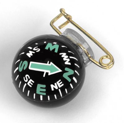 Fisheye Pin On Compass