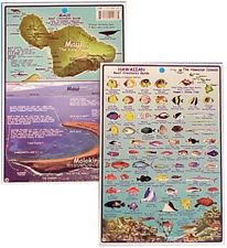 Waterproof Catalina Island Map