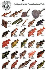 Pacific Coast Fishes Card