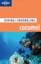 Guide To Diving Cozumel