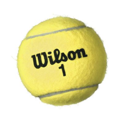 Championship Extra Duty Tennis Balls