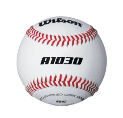 Practice Baseball (dozen)