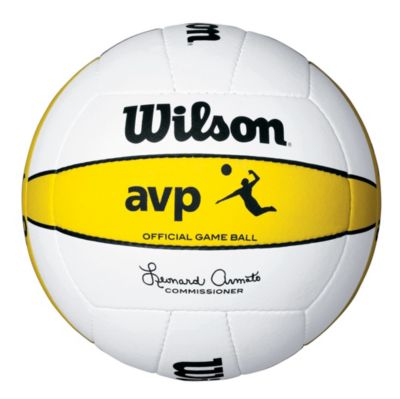 AVP Official Game Ball