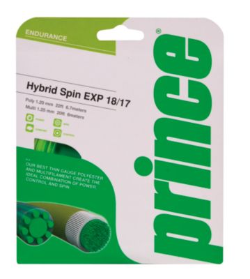 Hybrid Spin EXP