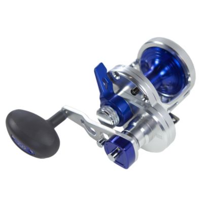 Saltiga 40-2 Speed Fishing Reel