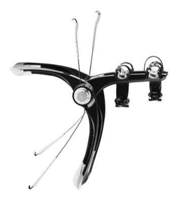 Raceway 2-BikeTrunk Rack