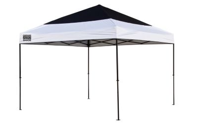 WM100 10 x 10 Mesh Canopy