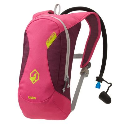 Kicker 50 oz. 1.5L Hydration Pack - Purple Reign