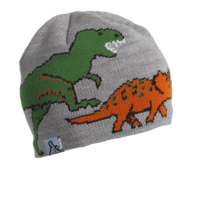 Boys' Jurassic Knit Beanie