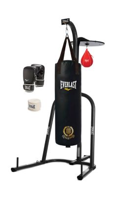 100th Anniversary 70 lb Heavy Bag Stand Kit
