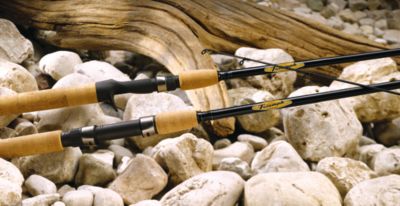 Triumph Travel Spinning Rod