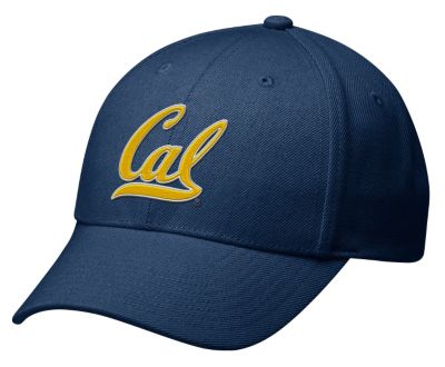 Men's Cal Swoosh Flex Cap