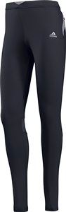 Women's Supernova Long Tight - Gray