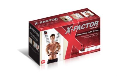 X Factor Door Gym