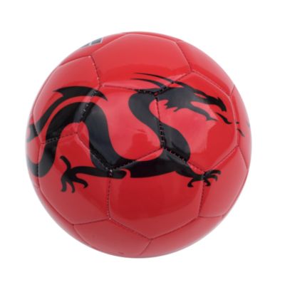 Dragon Soccer Ball