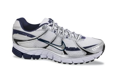 Men's Air Pegasus + 25 