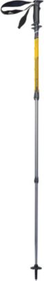 SureLock TR-3 - Standard Pole