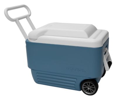 Max Cold Ultra 40 Roller