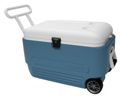 Max Cold Ultra 60 Roller