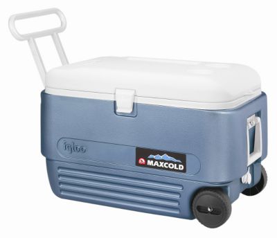 MaxCold 60 Roller