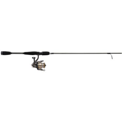 Cardinal SX5 5'6