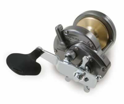 Torium 20 Star Drag Reel