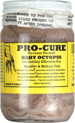 Baby Octopus 8Ct.