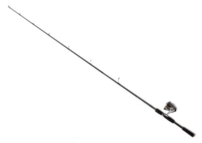 Tarvos 6'6