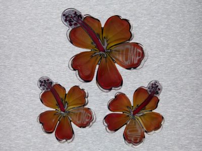 Hibiscus Printed Stomp Pad