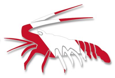 Dive Flag Bumper Sticker - Lobster