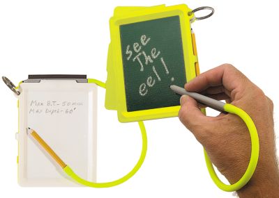 QII™ Erasable Magnetic Dive Slate