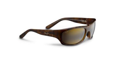 Surf Rider Sunglasses - Tortoise / HCL Bronze
