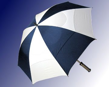 Umbrella 68