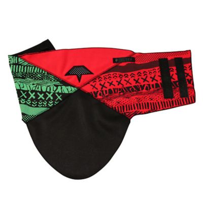 Men's Shield Facemask