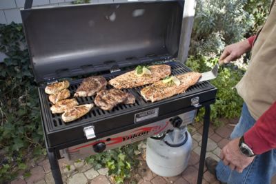 BBQ Box Two Burners