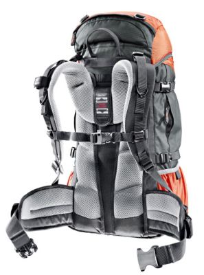 Fox 30 Kids Backpack